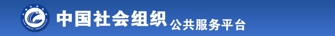 嫩操网站全国社会组织信息查询